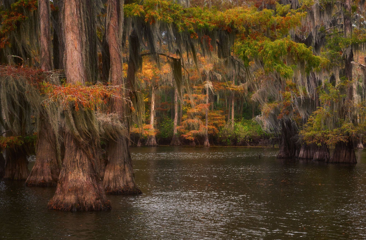 Louisiana