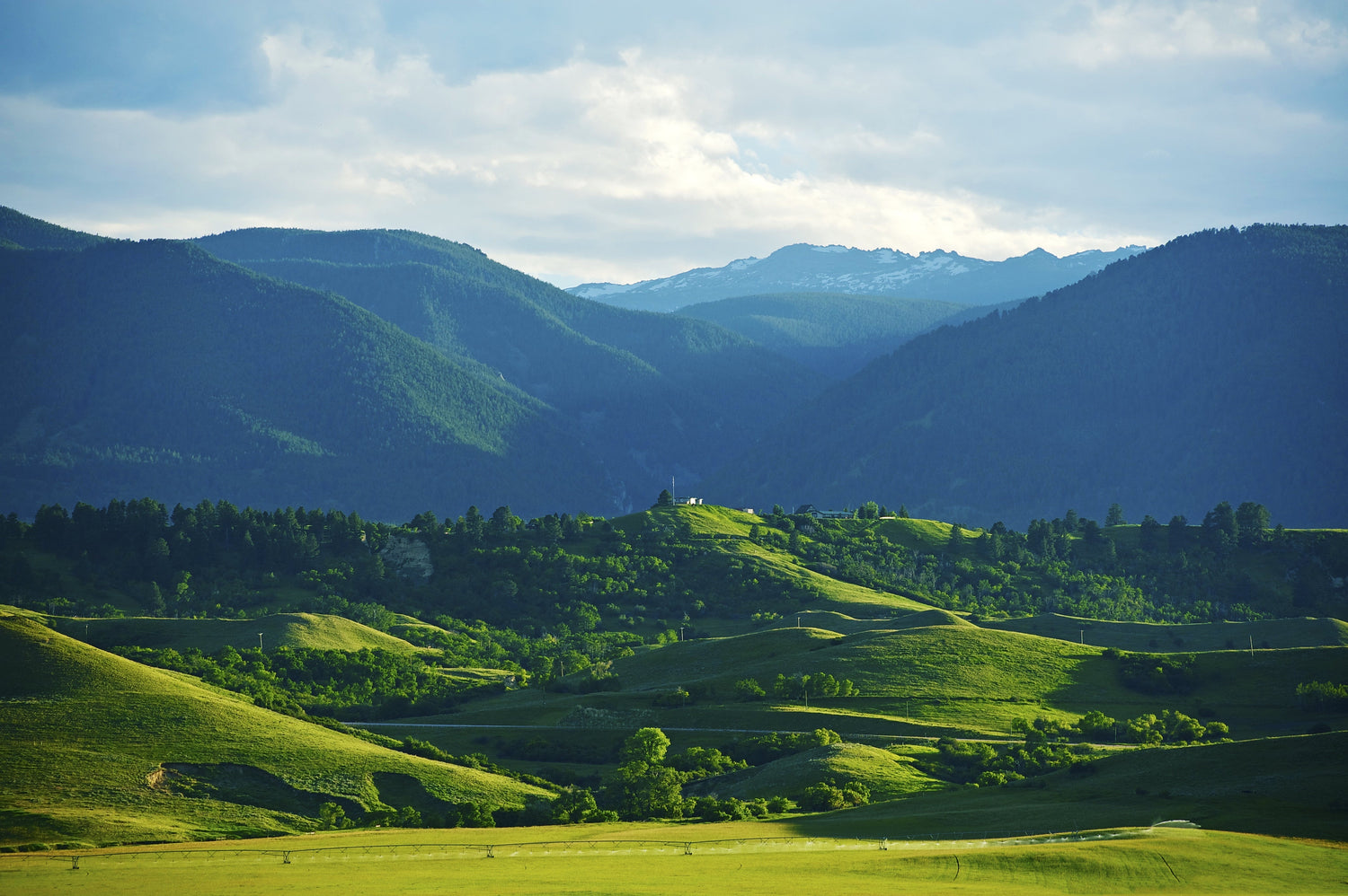 Montana