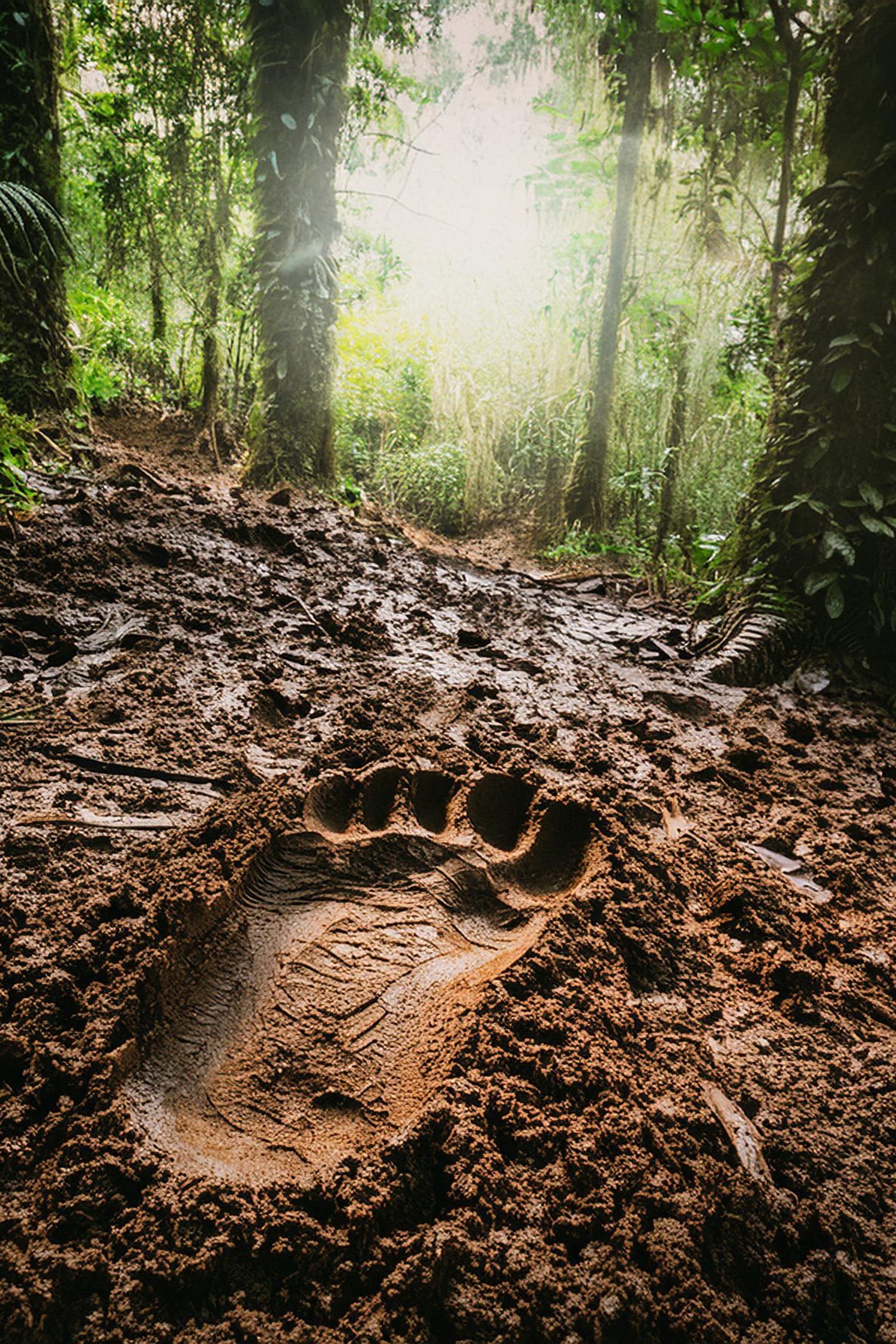 Bigfoot, Myths & Legends