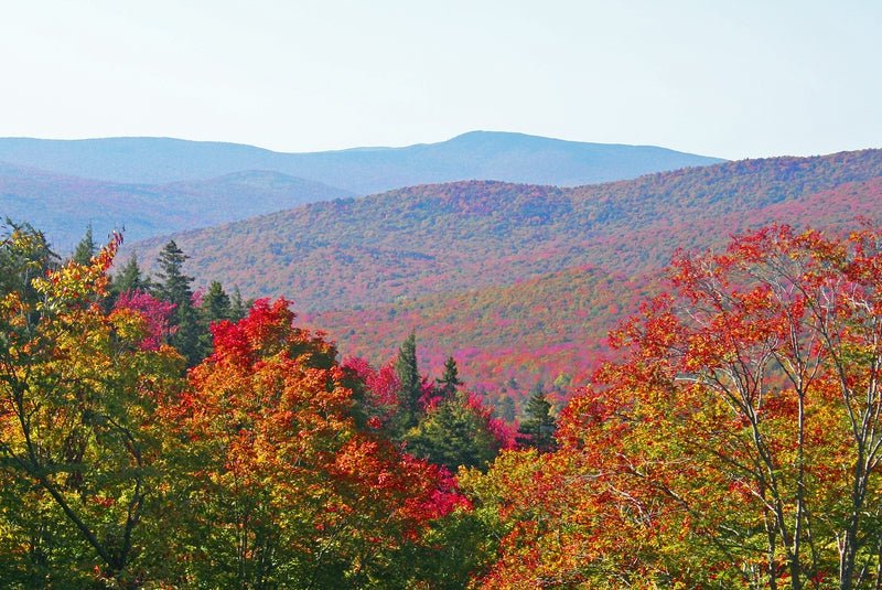 New England/Northeast