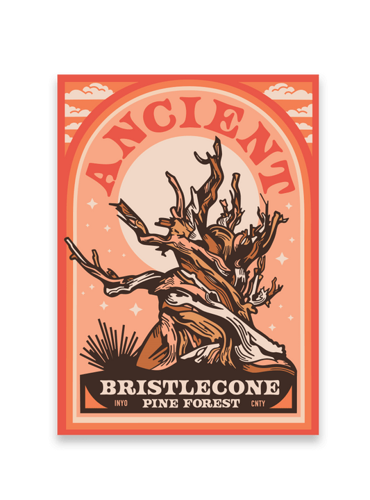 Ancient Bristlecone Pine Forest Archway Sticker - Wander Together Outfitters