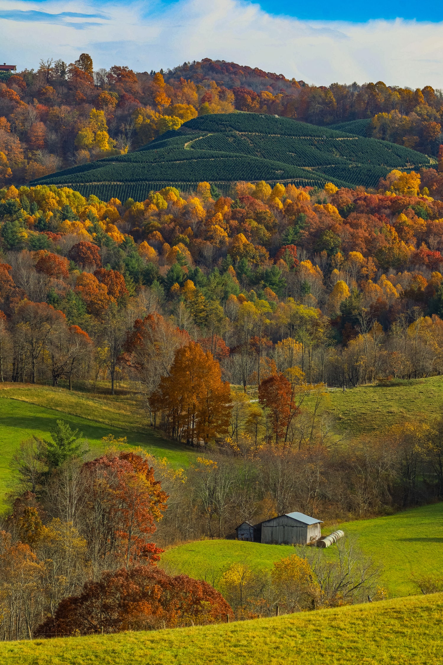 West Virginia