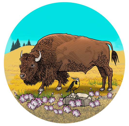 Buffalo Button Pins - Wander Together Outfitters