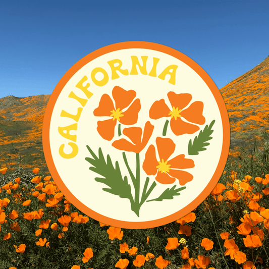 California Poppy Sticker - Wander Together Outfitters