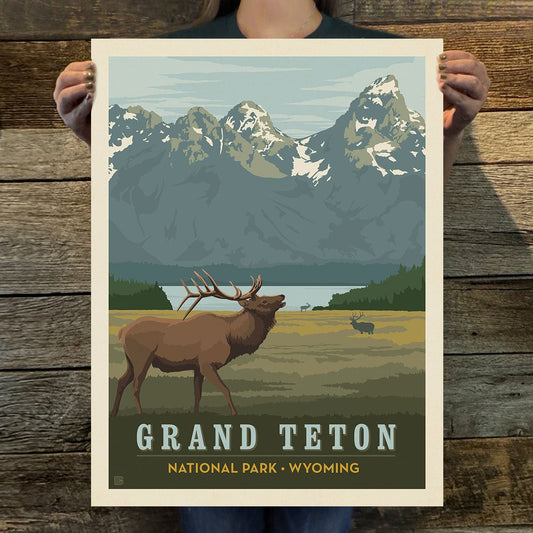 Grand Teton National Park: Elk Art Print - Wander Together Outfitters