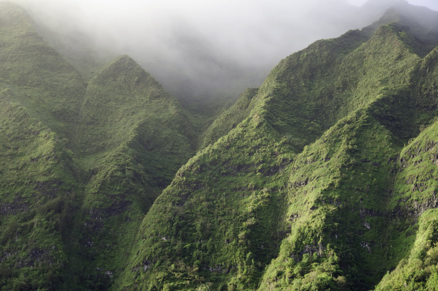 Hawaii