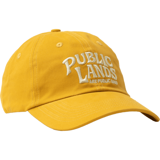 "Public Lands" Dad Hat - Wander Together Outfitters