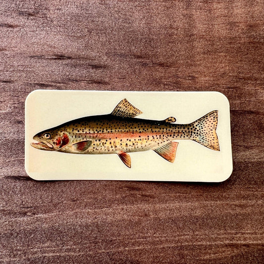 Rainbow Trout Sticker - Wander Together Outfitters
