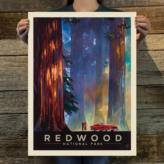 Redwood National Park: Among the Giants Art Print - Wander Together Outfitters
