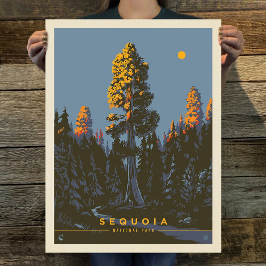 Sequoia National Park: Morning Glow Art Print - Wander Together Outfitters