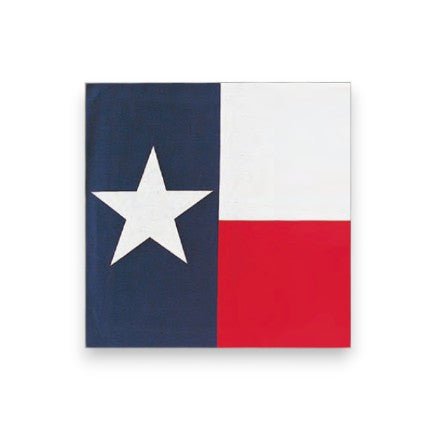 Texas State Flag Bandana - Wander Together Outfitters
