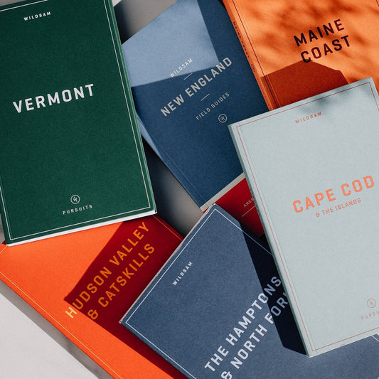 The Northern Lights Field Guide Set Collection - Wander Together Outfitters
