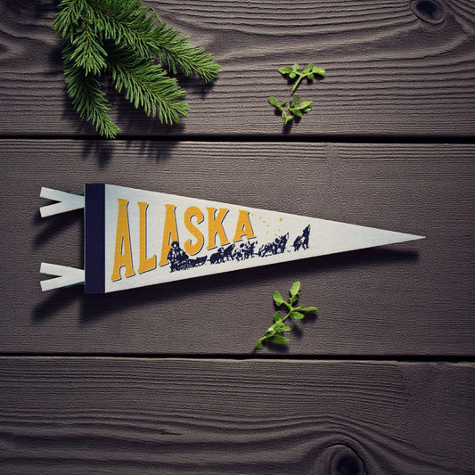 US States Felt Mini Pennant Collection (Various) - Wander Together Outfitters