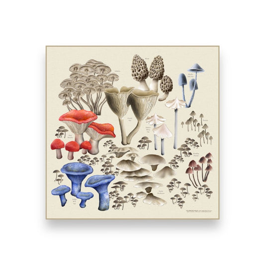 Wild Mushroom Bandana - Wander Together Outfitters