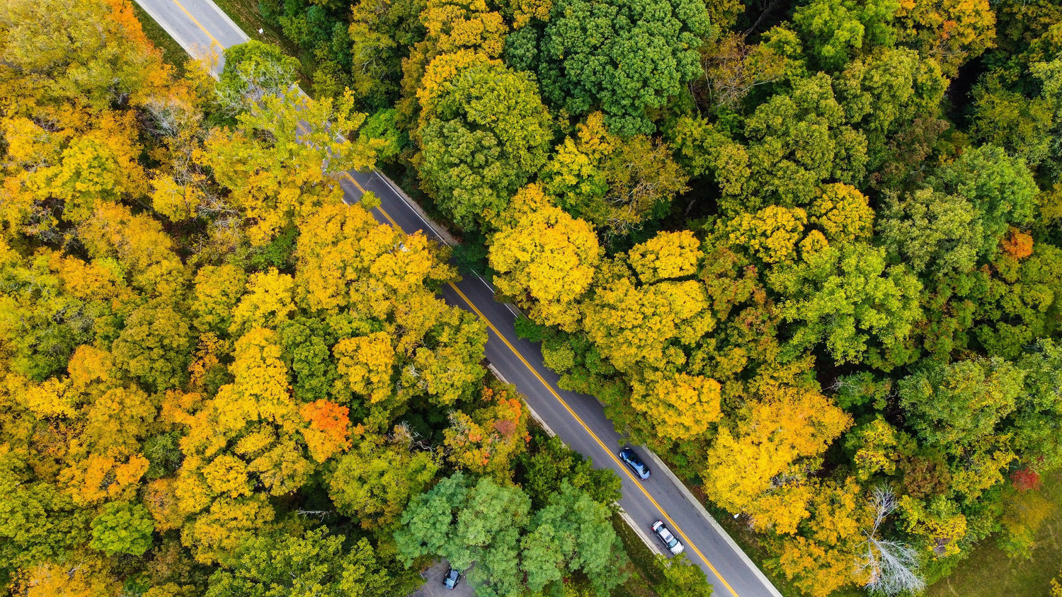 Indiana