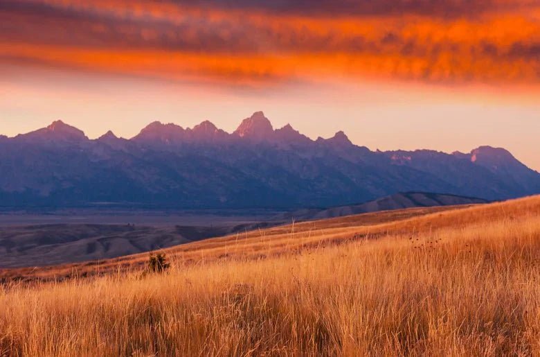 Wyoming