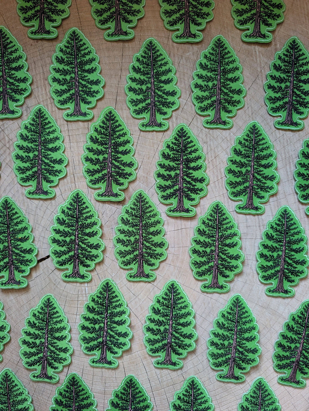 Multiple green eastern white pine tree-shaped patches with dark green and brown pine tree designs, arranged in rows on a light wood surface.