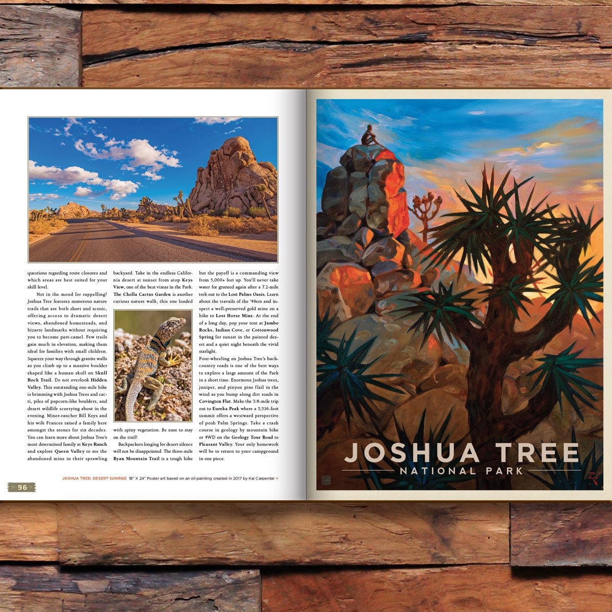 63 National Parks: Updated Edition HARD COVER Coffee Table Book (Best Seller!) - Wander Together Outfitters