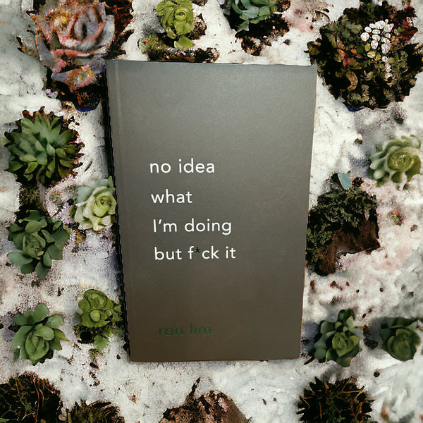 "No Idea What I'm Doing But F*** It" Book