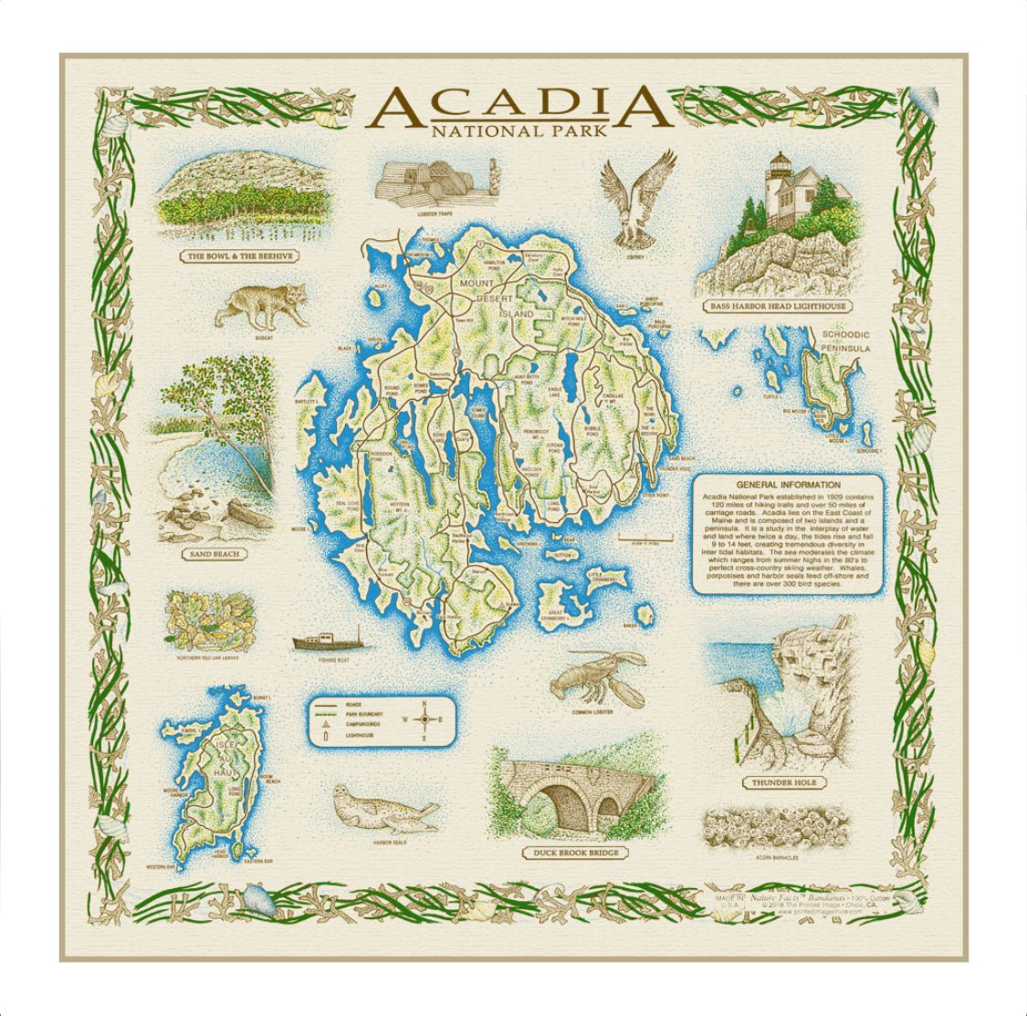 Acadia Bandana (Version 2) National Park Highlights (SALE) - Wander Together Outfitters