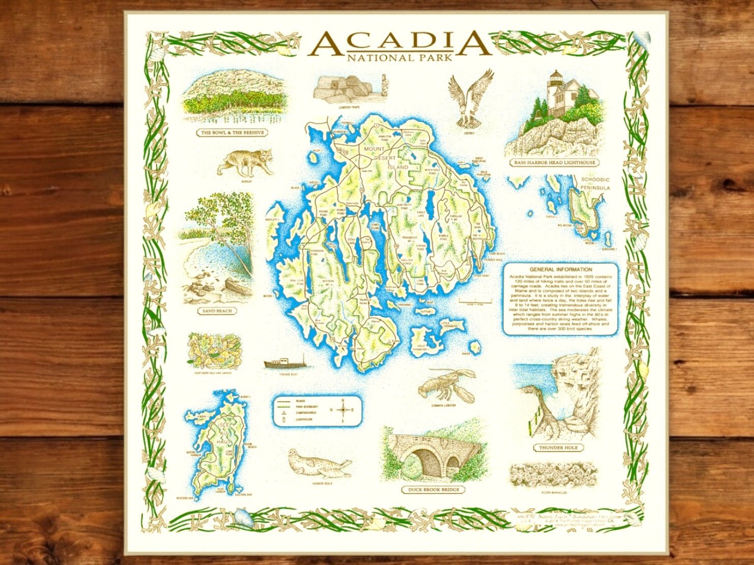 Acadia Bandana (Version 2) National Park Highlights (SALE) - Wander Together Outfitters