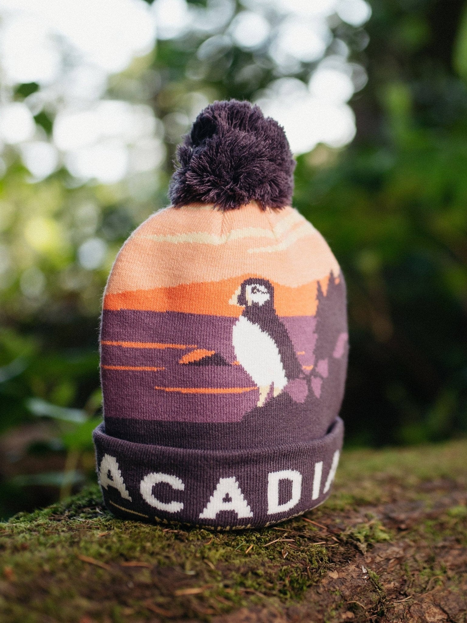 Acadia National Park PomPom Beanie - Wander Together Outfitters