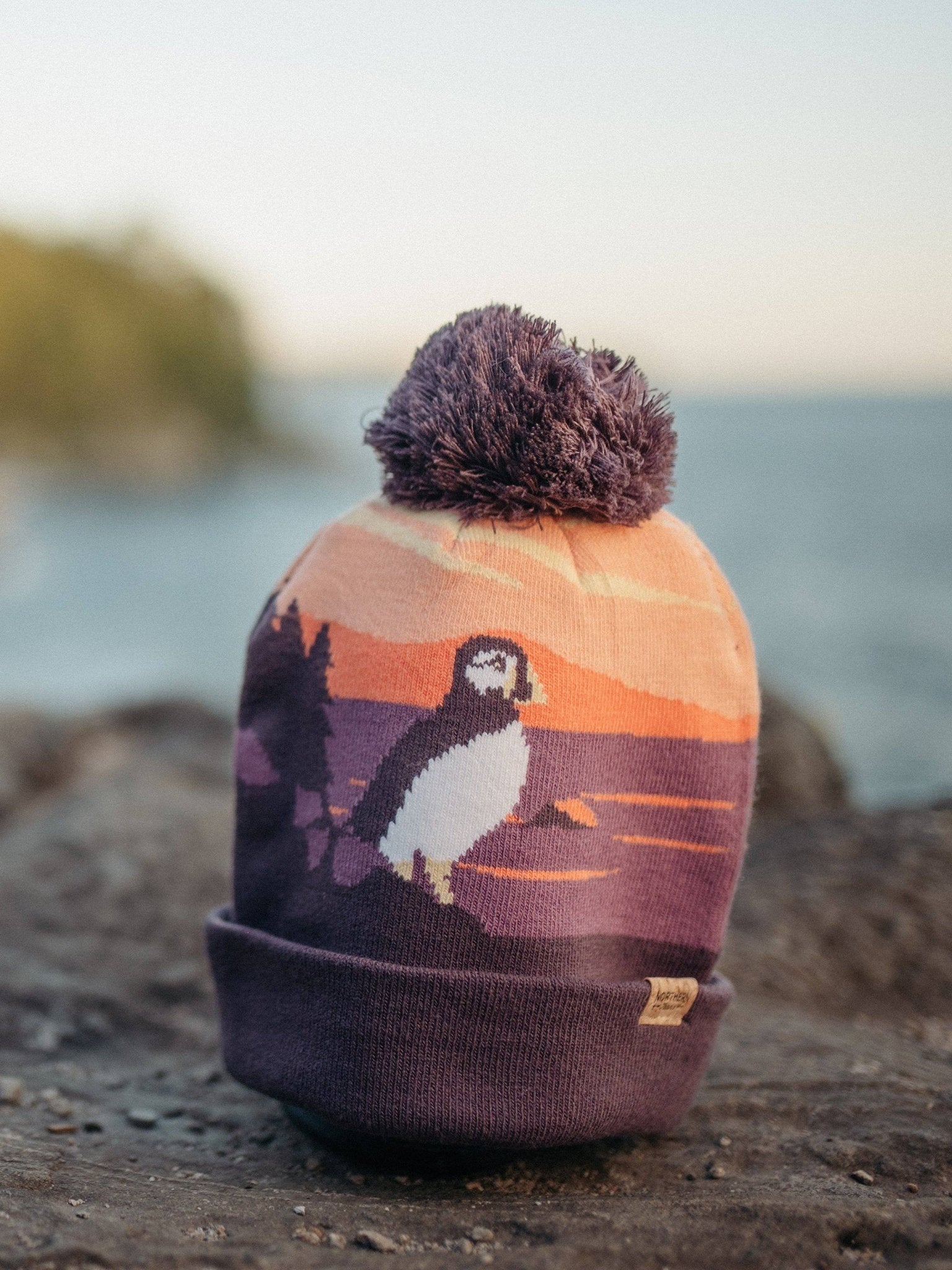 Acadia National Park PomPom Beanie - Wander Together Outfitters