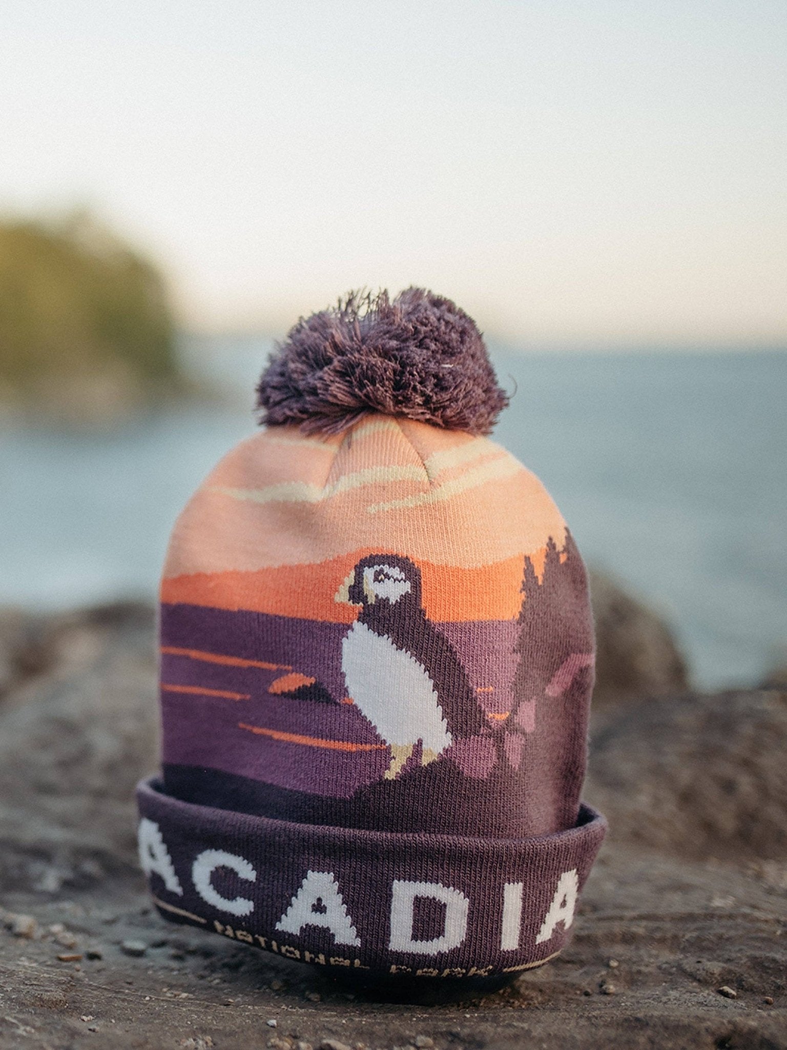 Acadia National Park PomPom Beanie - Wander Together Outfitters