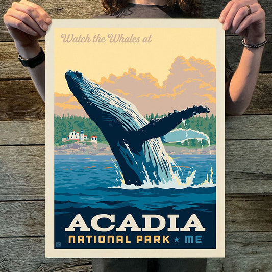 Acadia National Park: Whale Watching (63 National Parks) Art Print - Wander Together Outfitters