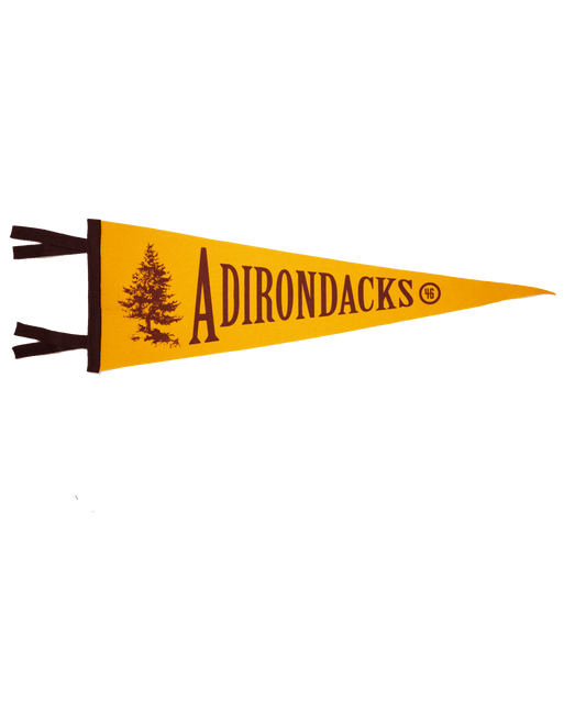 Adirondack Mountains Pennant - Wander Together Outfitters