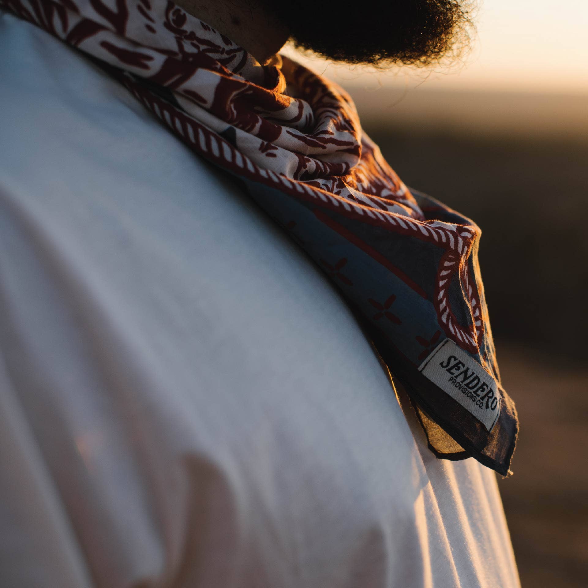 American Working Ranch Bandana - Wander Together Outfitters