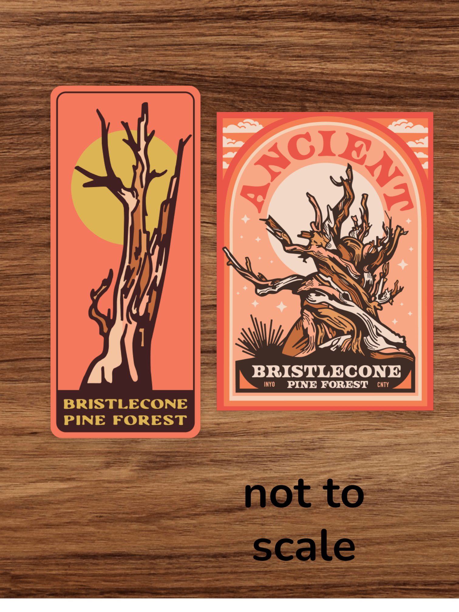 Ancient Bristlecone Pine Forest Archway Sticker - Wander Together Outfitters