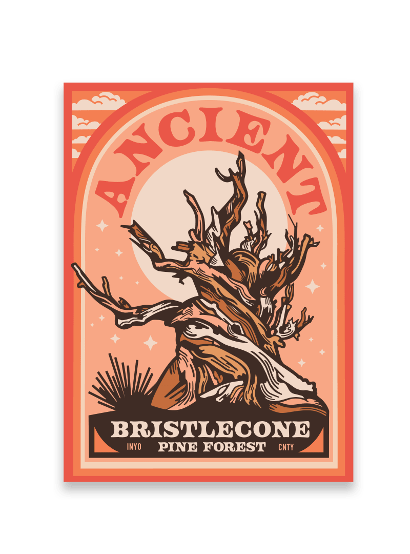 Ancient Bristlecone Pine Forest Archway Sticker - Wander Together Outfitters