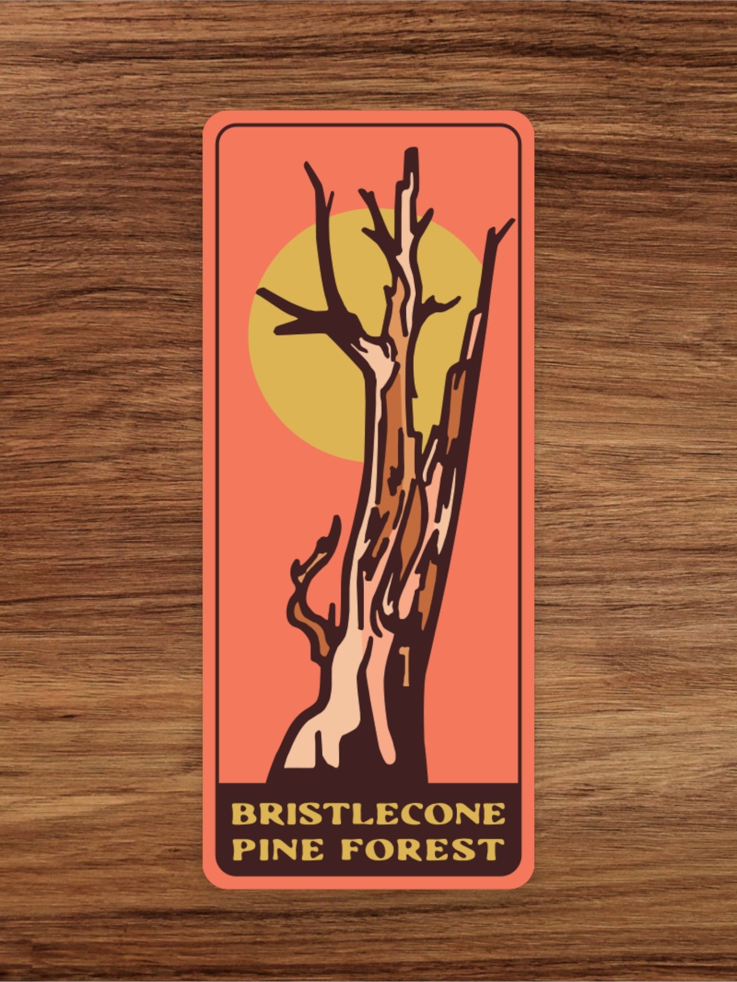 Ancient Bristlecone Pine Forest Sticker - Wander Together Outfitters
