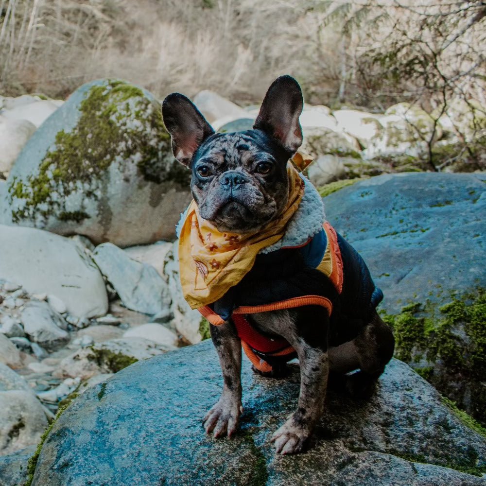 Antonia Bandana - Wander Together Outfitters