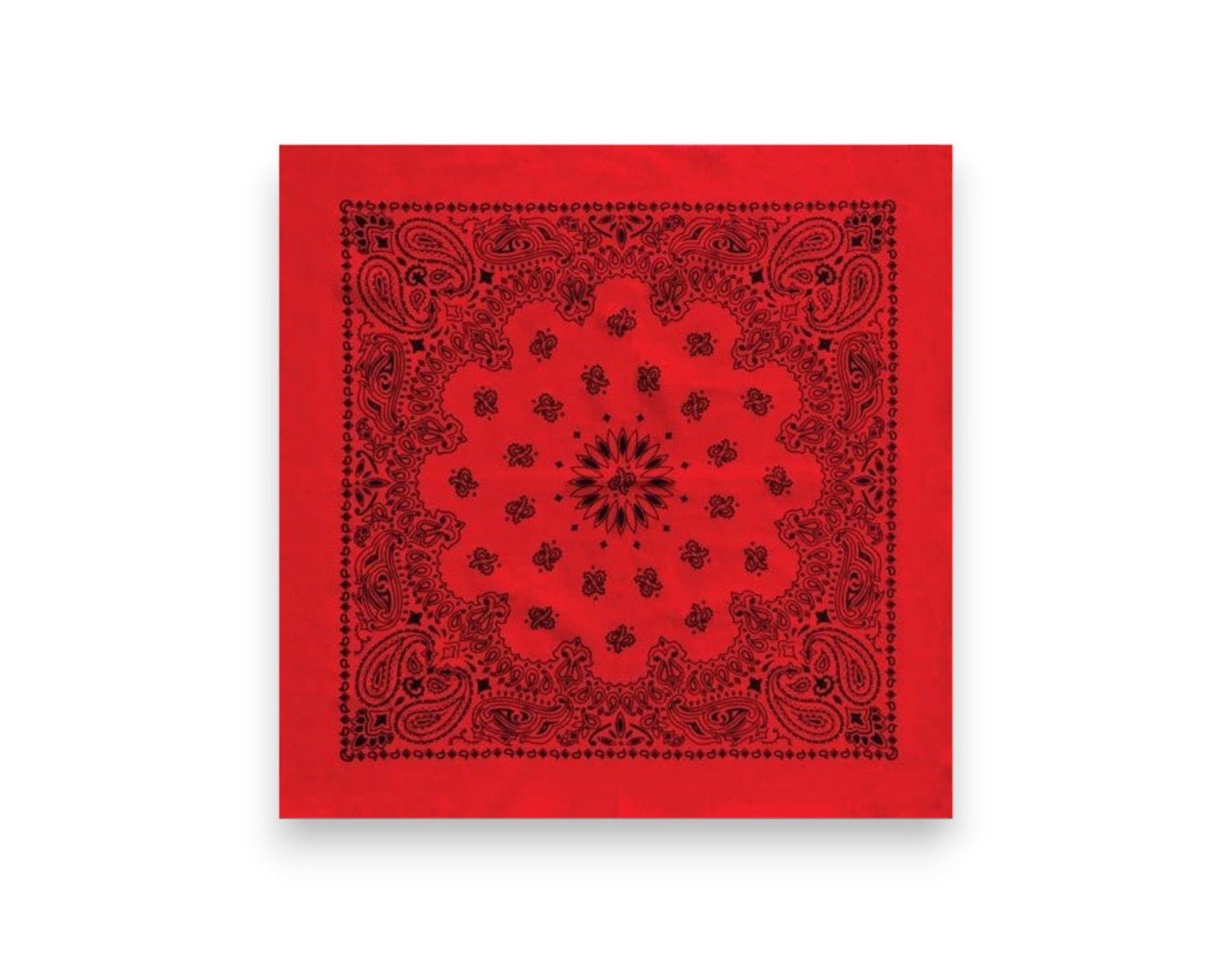 Austin Paisley Red and Black Oversized Bandana - Wander Together Outfitters