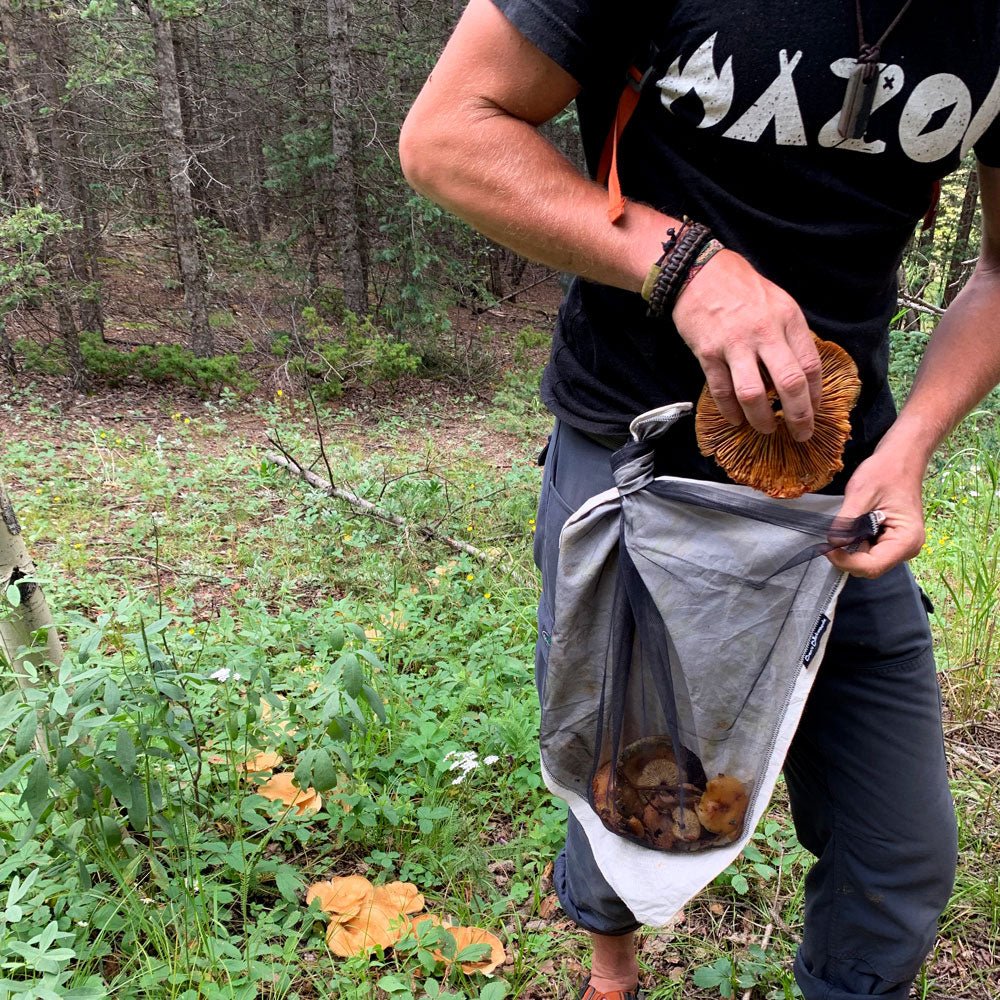 BandaNet Bug - Proof Bandana, Head Net and Foraging Bag - Wander Together Outfitters