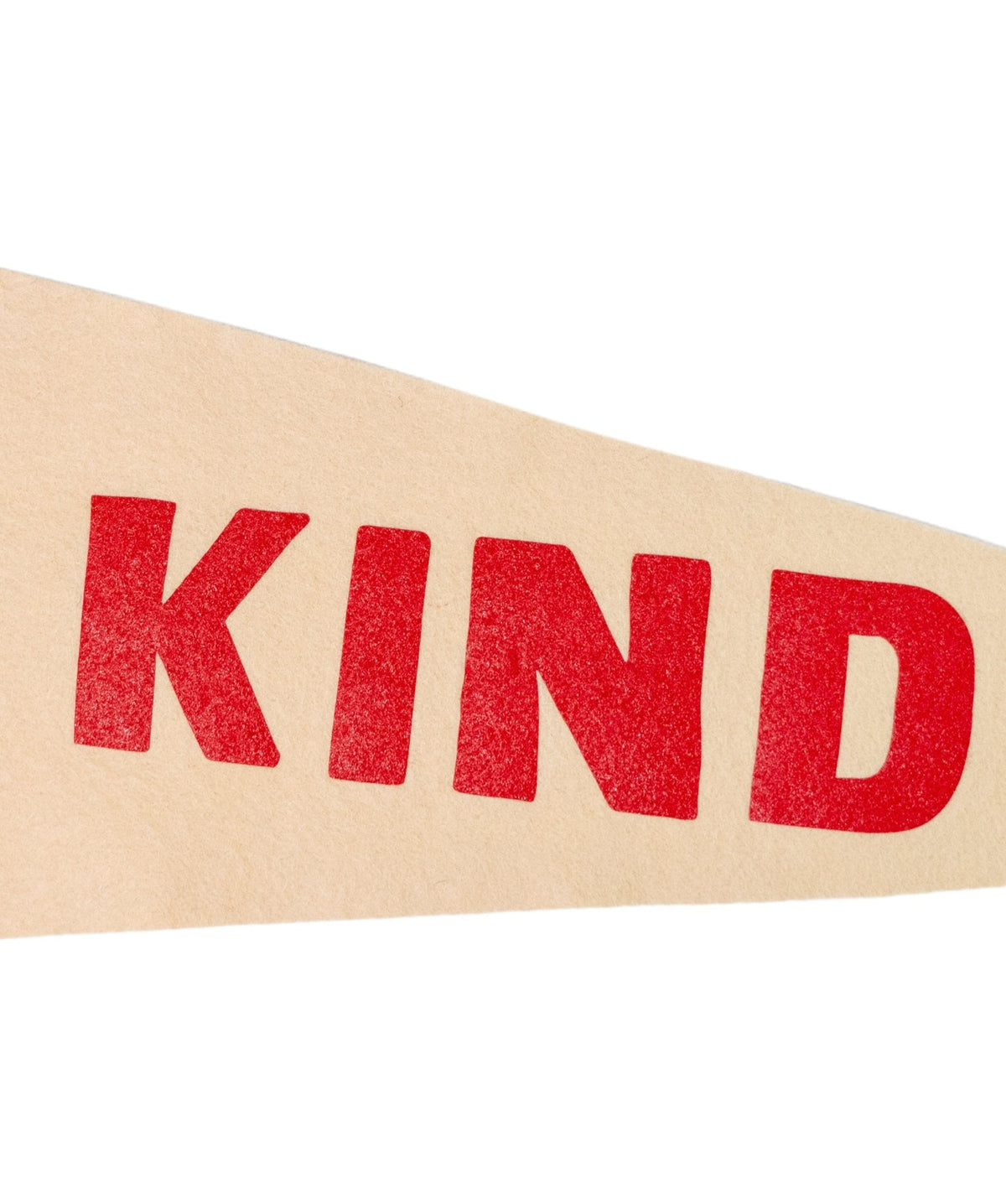 Be Kind Pennant - Wander Together Outfitters
