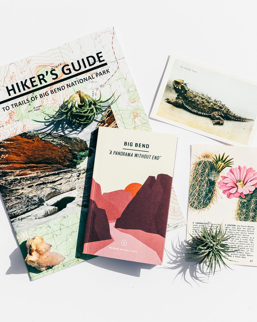 Big Bend National Park Field Guide - Wander Together Outfitters