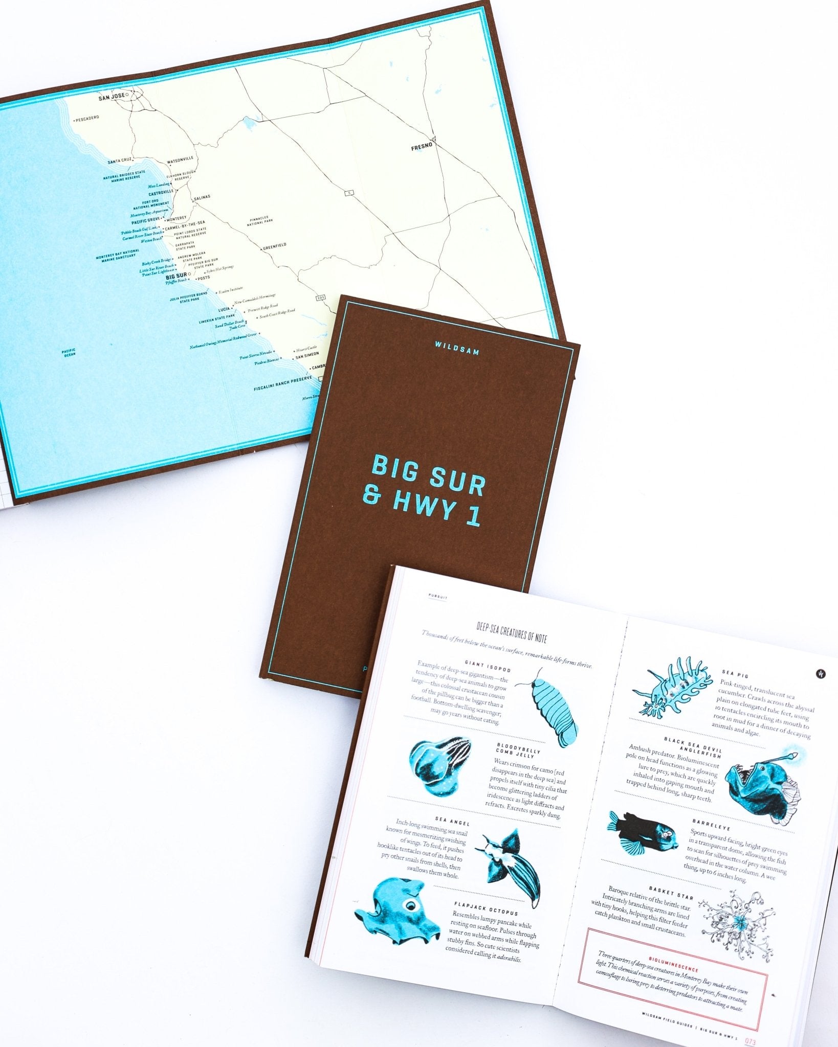 Big Sur & Pacific Coast Highway 1 Field Guides - Wander Together Outfitters
