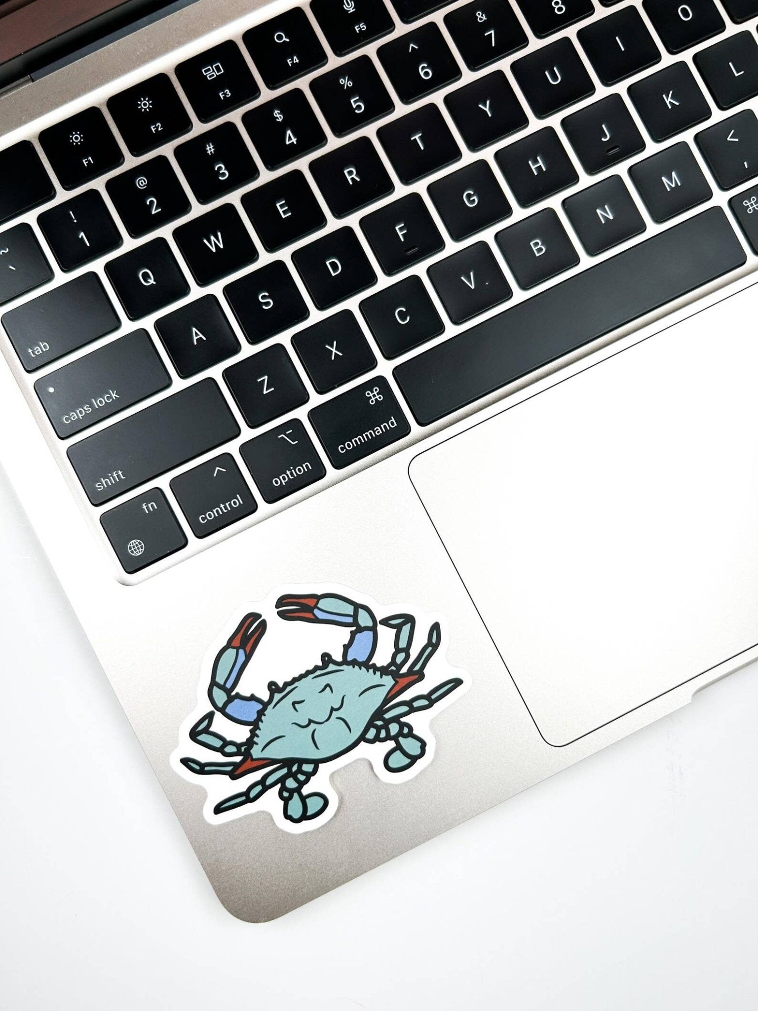 Blue Crab Sticker Coastal Vinyl Sticker Decal - Wander Together Outfitters