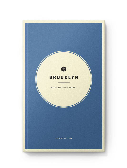 Brooklyn New York Field Guide - Wander Together Outfitters
