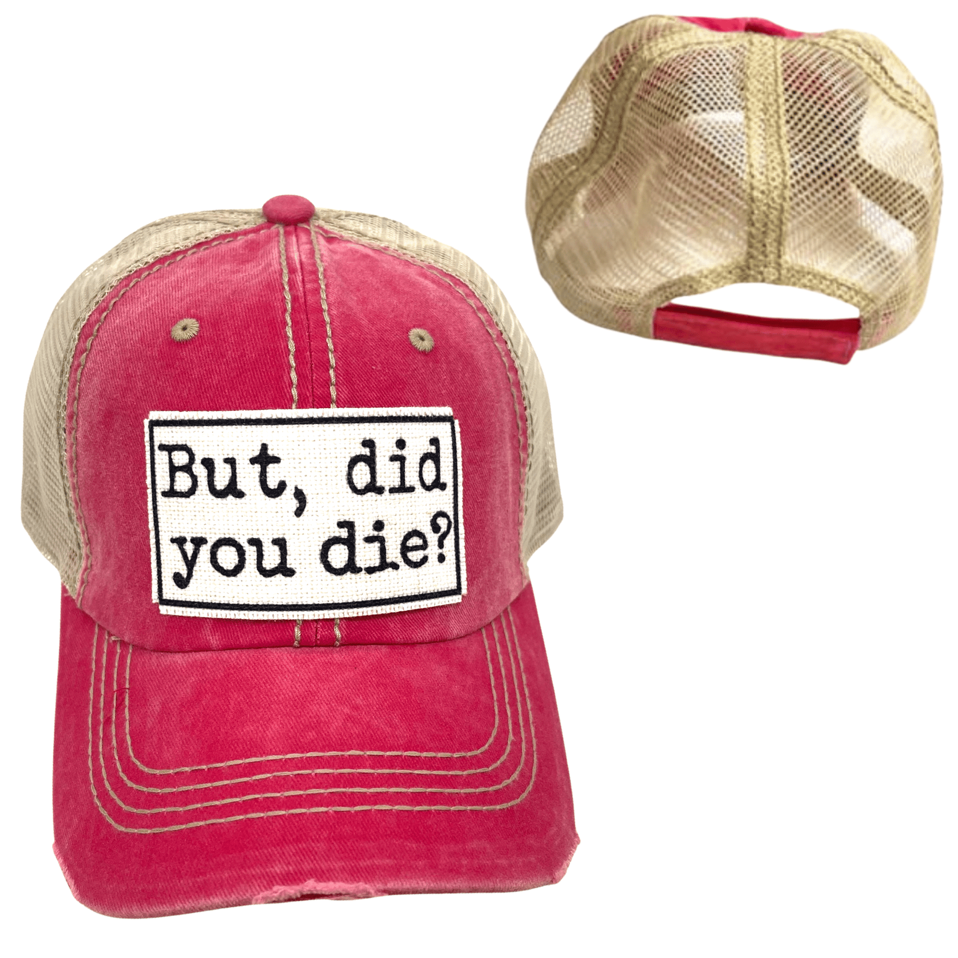 "But Did You Die" Unisex Distressed Cap - Wander Together Outfitters