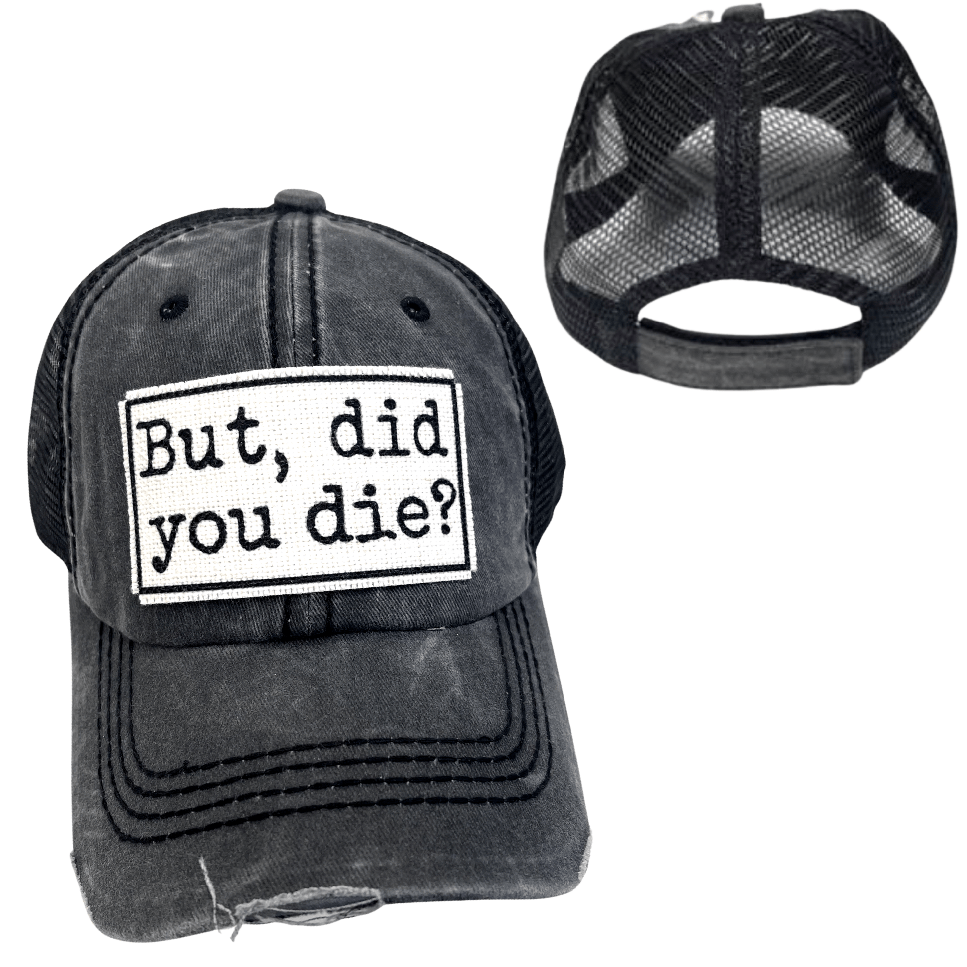 "But Did You Die" Unisex Distressed Cap - Wander Together Outfitters