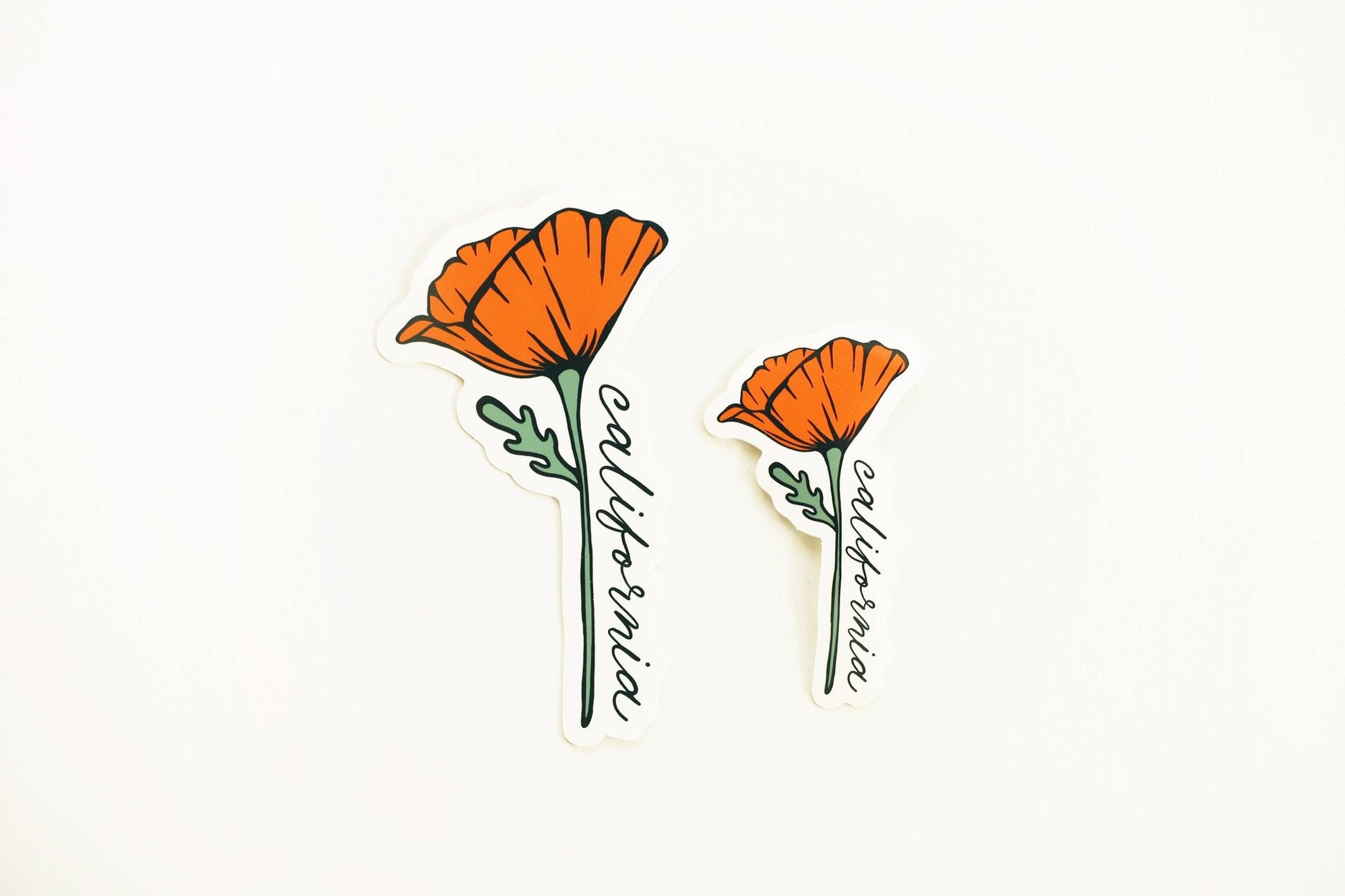 California Golden Blooming Poppy Vinyl Sticker - Wander Together Outfitters