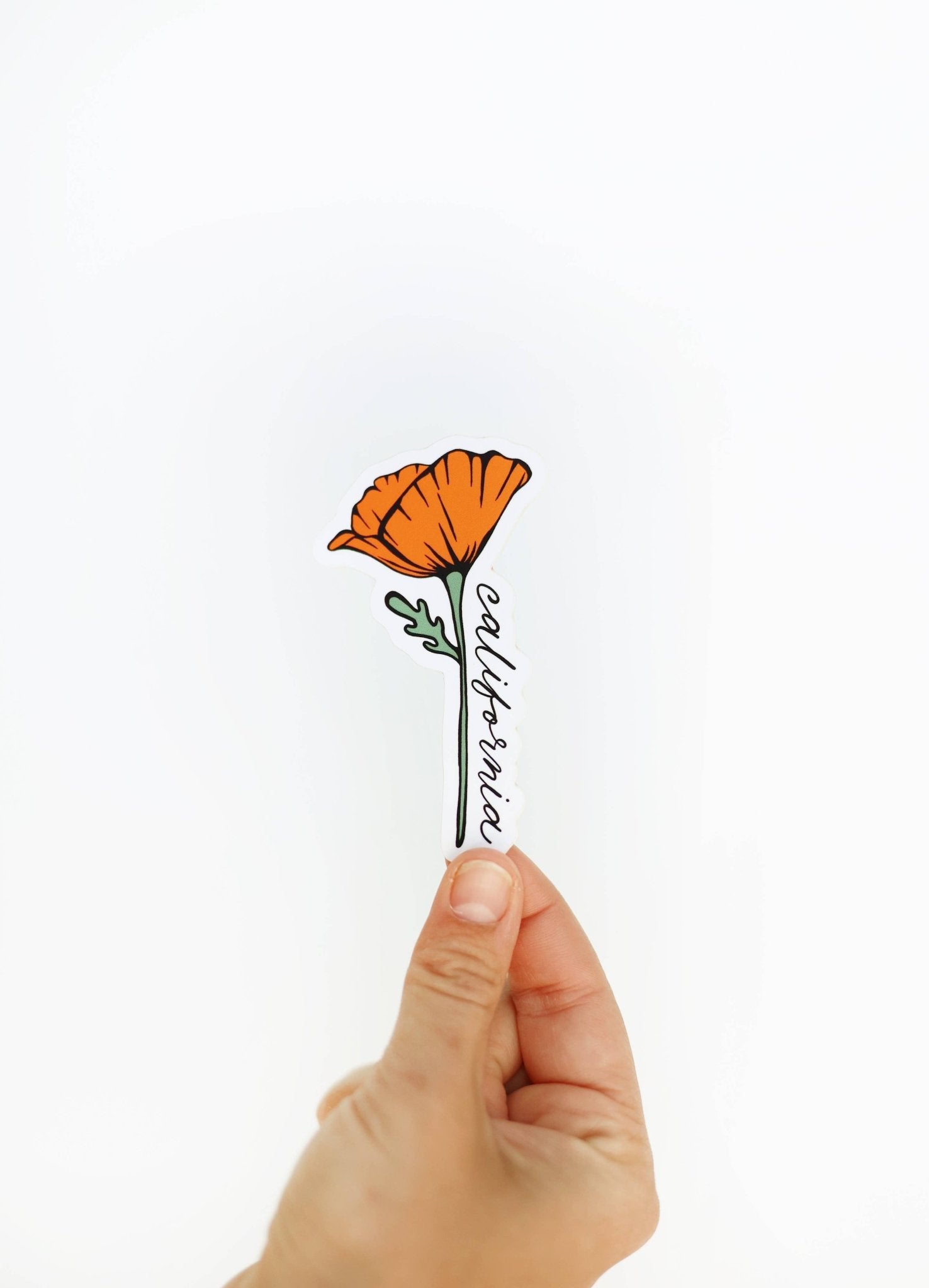 California Golden Blooming Poppy Vinyl Sticker - Wander Together Outfitters