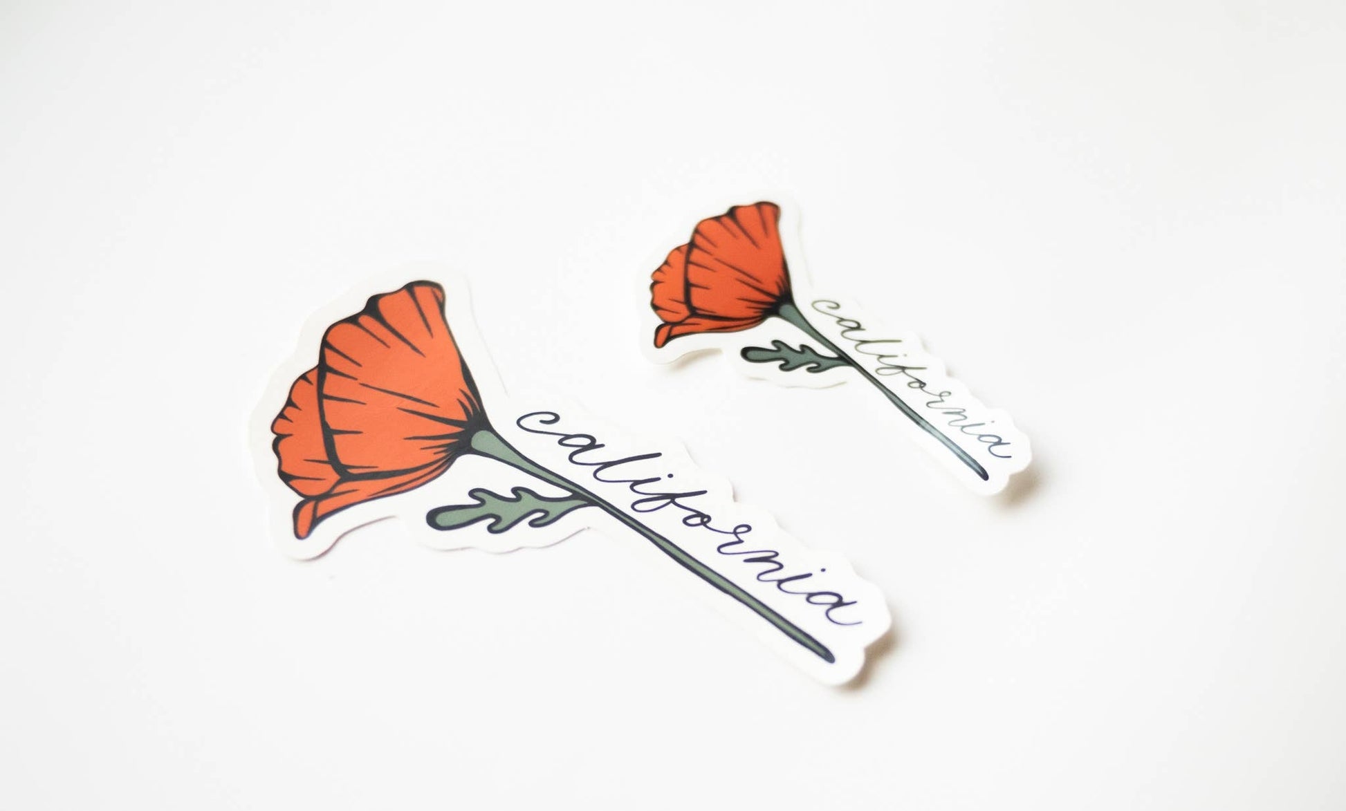 California Golden Blooming Poppy Vinyl Sticker - Wander Together Outfitters