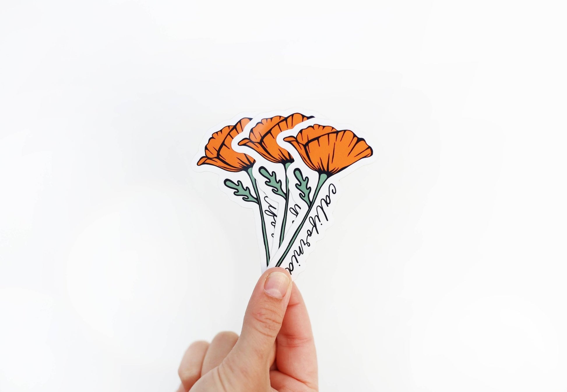 California Golden Blooming Poppy Vinyl Sticker - Wander Together Outfitters