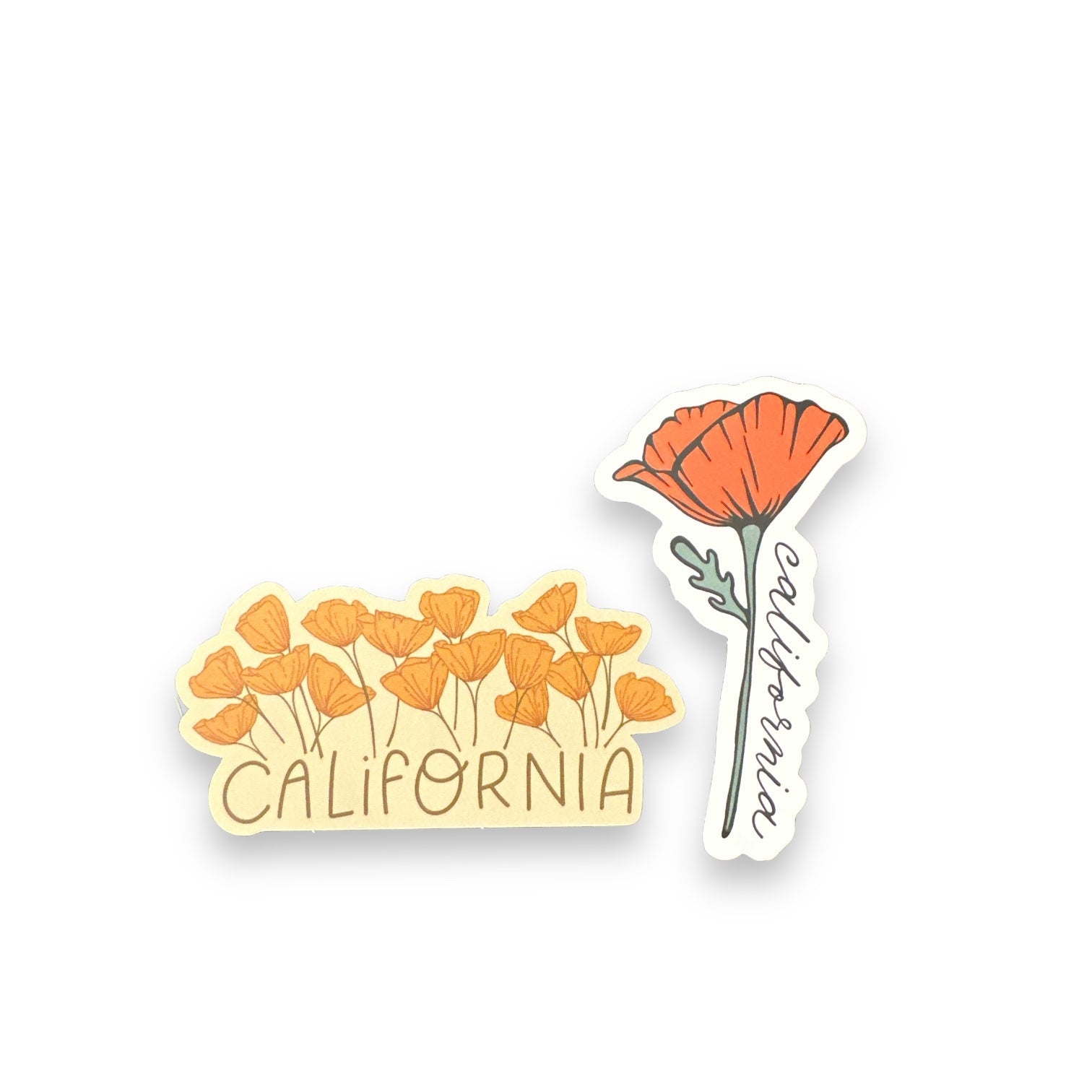 California Golden Blooming Poppy Vinyl Sticker - Wander Together Outfitters