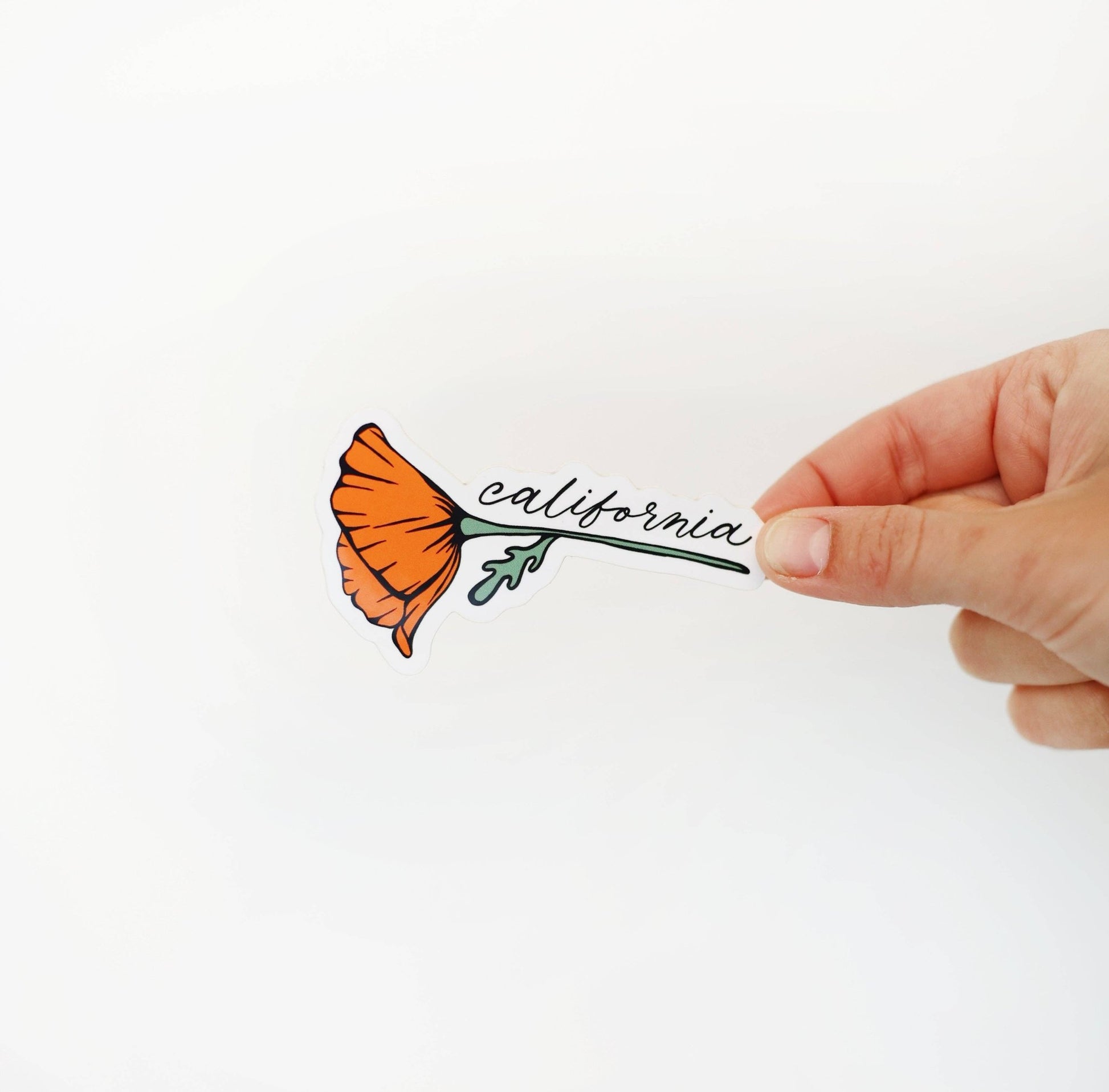 California Golden Blooming Poppy Vinyl Sticker - Wander Together Outfitters